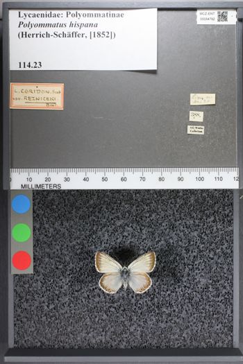 Media type: image;   Entomology 54792